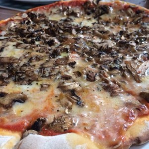 Pizza Funghi