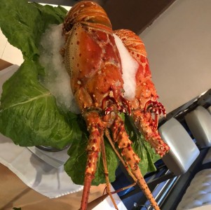 Langosta por Kg