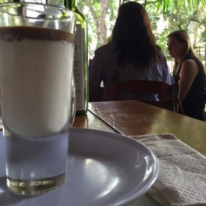 panacotta chocolate