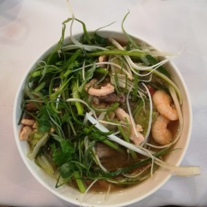 Sopa Mongolia
