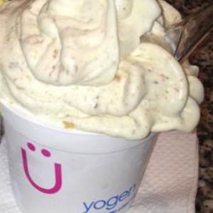 Helado de yogourt Sin azucar 