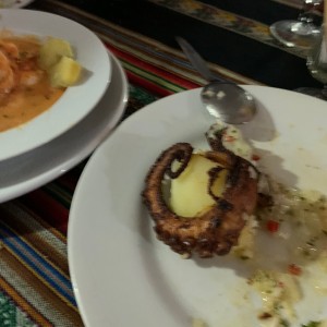 clsidco pulpo 