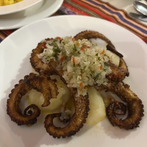 Pulpo