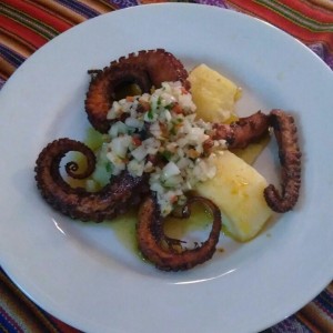Pulpo