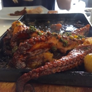 Pulpo