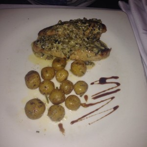 pollo 