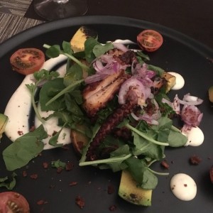 Tentaculos de Pulpo al grill