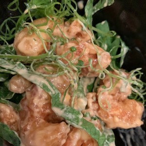 camsrones tempura! SINDEWINDER