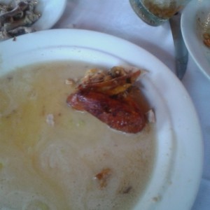 Lo que quedo del pollo
