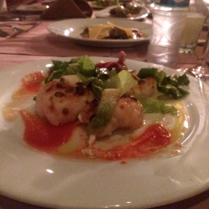 Duplings de camarones 