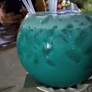 Pecera tipo coco loco