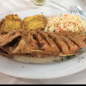 parguito frito con tostones y ensalada, delicioso