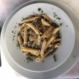 plato principal: pasta croton (hongos con crema de leche)