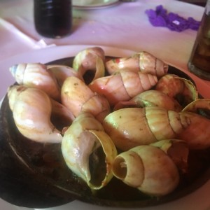 escargot