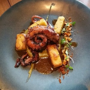 pulpo