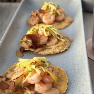 Tacos de Camaron