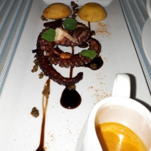 pulpo