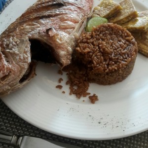 pargo frito