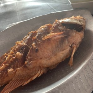 mojarra