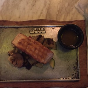 Salmon