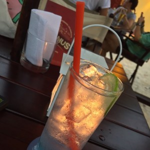 gin tonic 