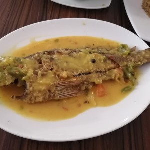 Corvina en zumo de coco