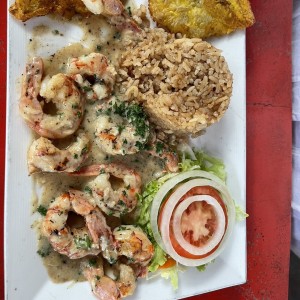 Langostino almajillo