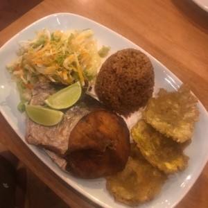 pesca del dia
