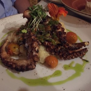 pulpo a la parrilla, un tanto insulso pr falta de d chimicurri, con puré de yuca, tambien insulso y frío