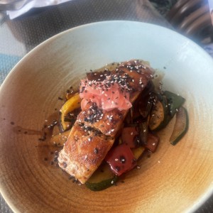 Salmon 