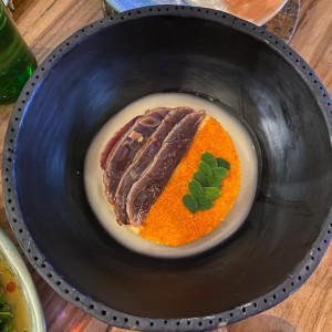 Pato