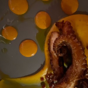 pulpo