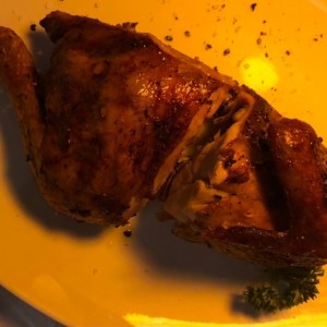 Pollo