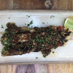 Pollo