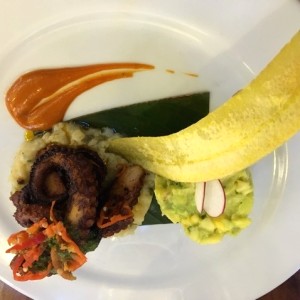 pulpo