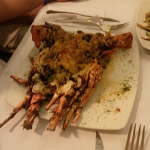 Langosta gabo