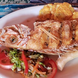 bandeja de pargo