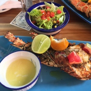 Langosta
