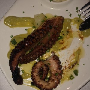 pulpo