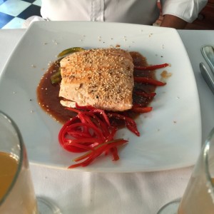 salmon