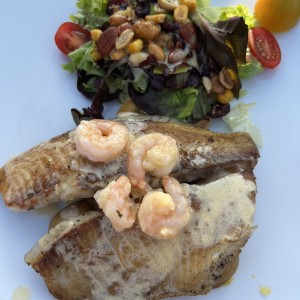 Tilapia 