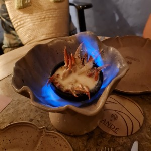Muelitas de Jaiba