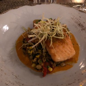 salmon