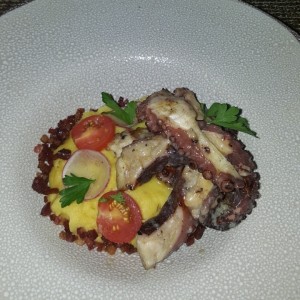Pulpo