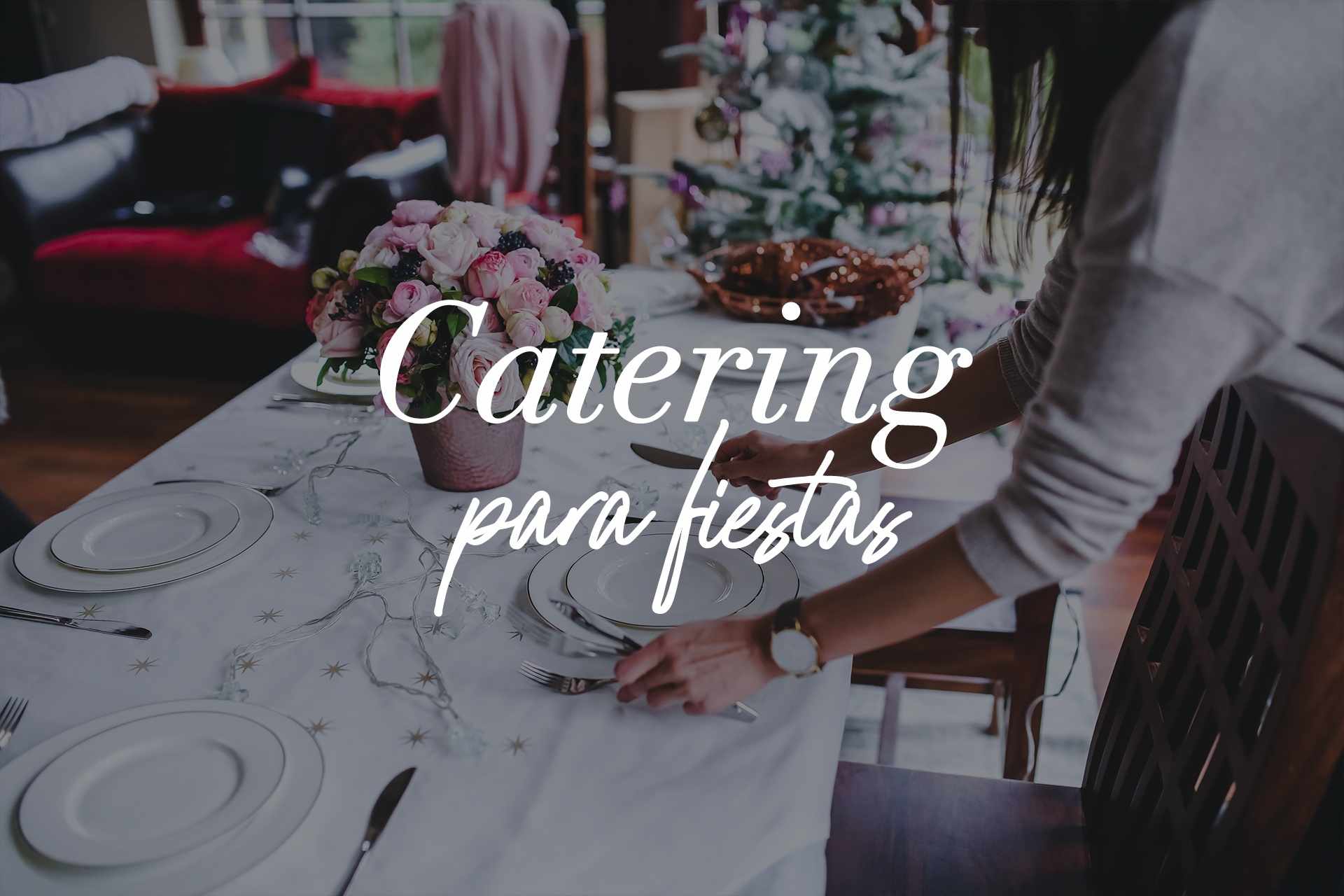 Catering para fiestas