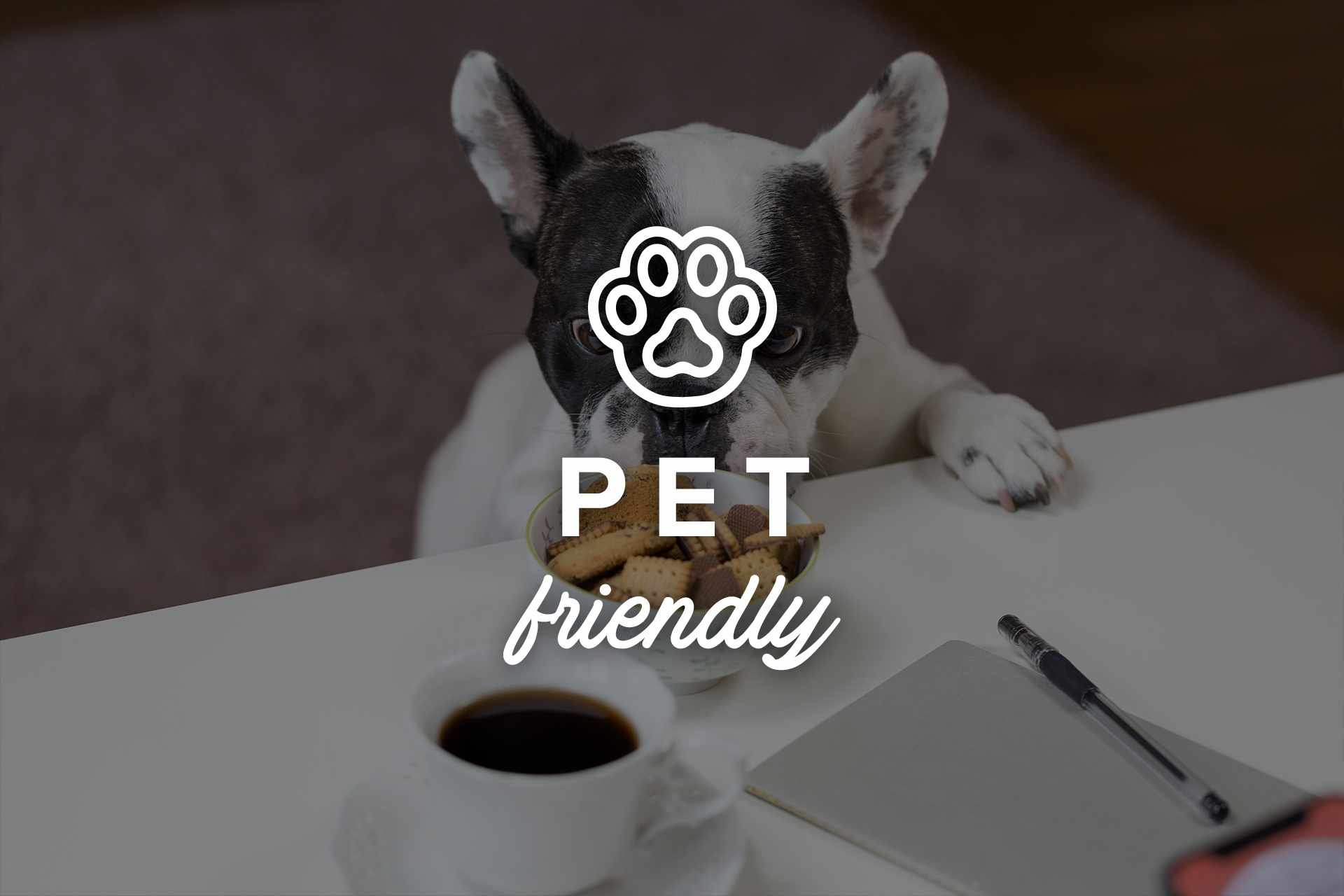 Restaurantes Pet Friendly
